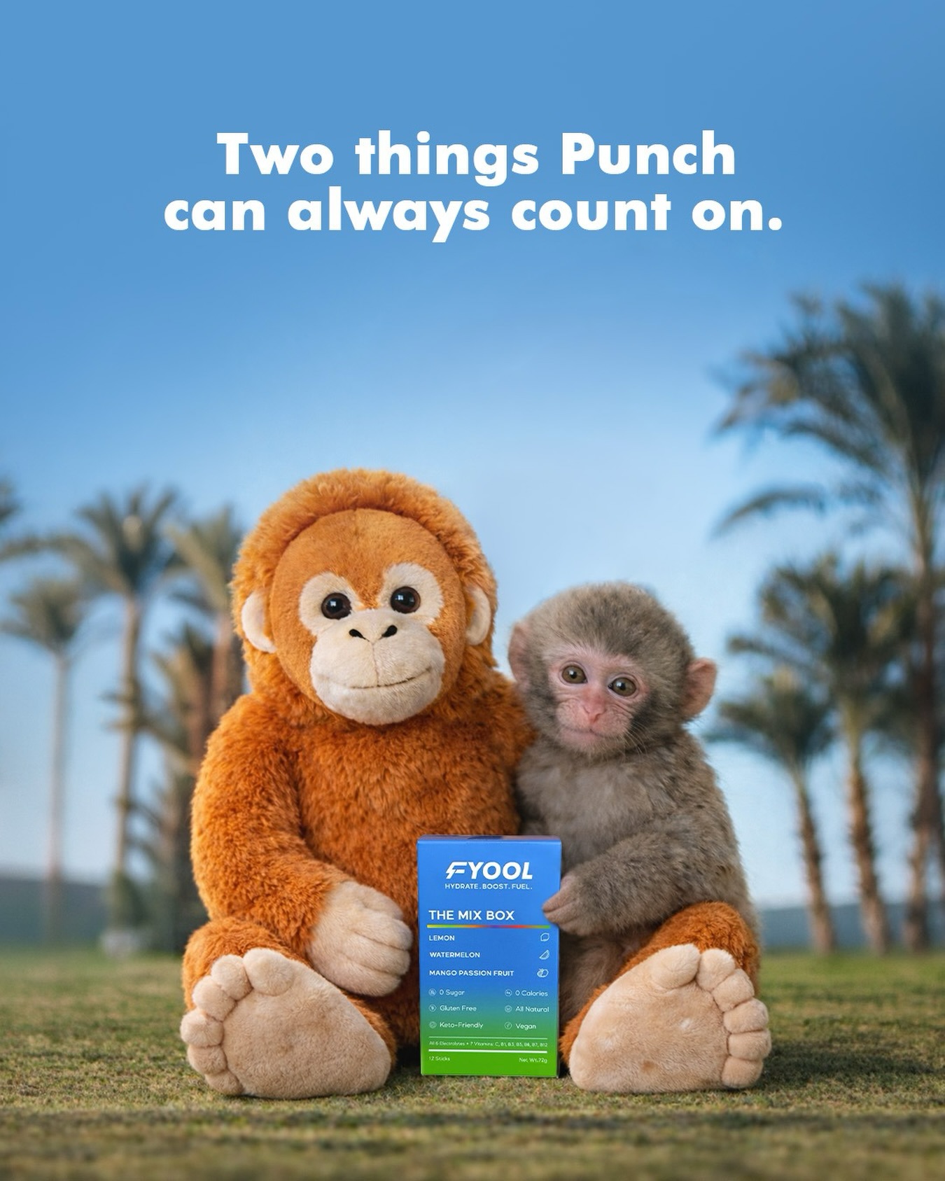 No matter how tough the day gets, Punch can always rely on, Fyool for hydration#Fyool #Punchthemonkey #Hydration #electrolytes(Punch the monkey, Fyool, electrolytes, Hydration)