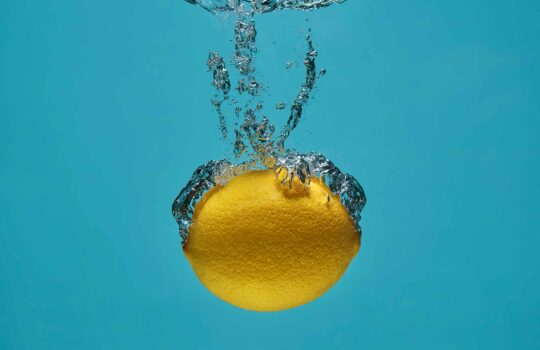 photo-1625813506062-ccb45305a4cc